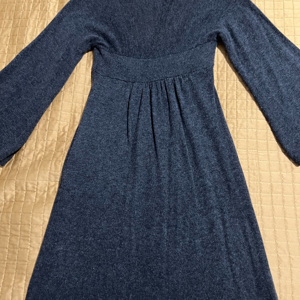 Express Blue Knit Dress